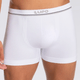 41528CUECABOXER436003MICROFSCOSTLUPOBRANCA